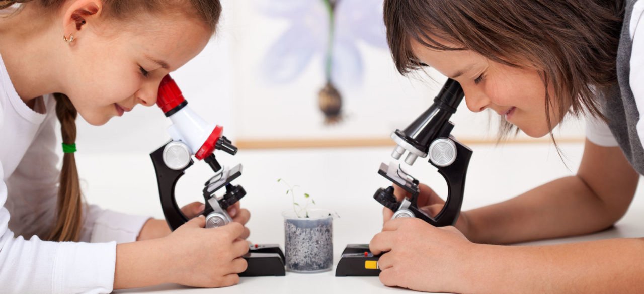 микроскопы детские в Ярославле